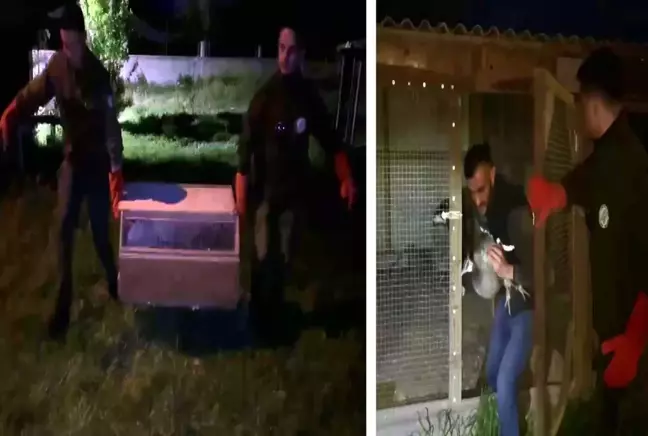 Hayvanat bahçesi gibi ev: Evinden çıkanlar hayrete düşürdü