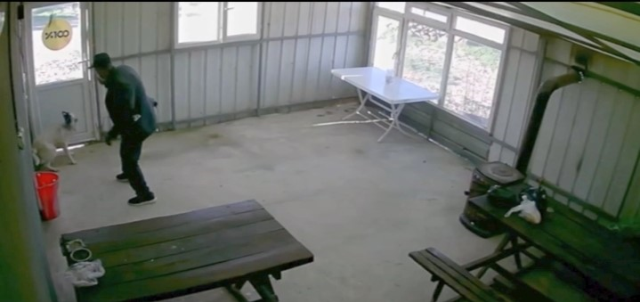 81 yaşındaki adam köy kahvesinde bakılan köpeğe dehşeti yaşattı