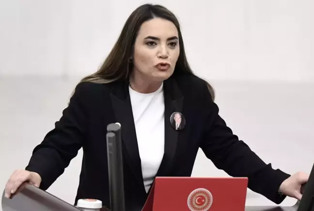 Babasının mezarında saldırıya uğradı! Alparslan Türkeş'in kızından açıklama var