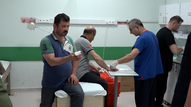 Acil servisler acemi kasaplarla doldu