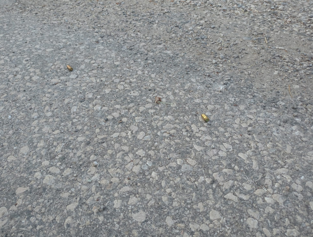 Emekli polis, piknik yaparlarken karşılaştığı 3 husumetlisini tabancayla vurdu